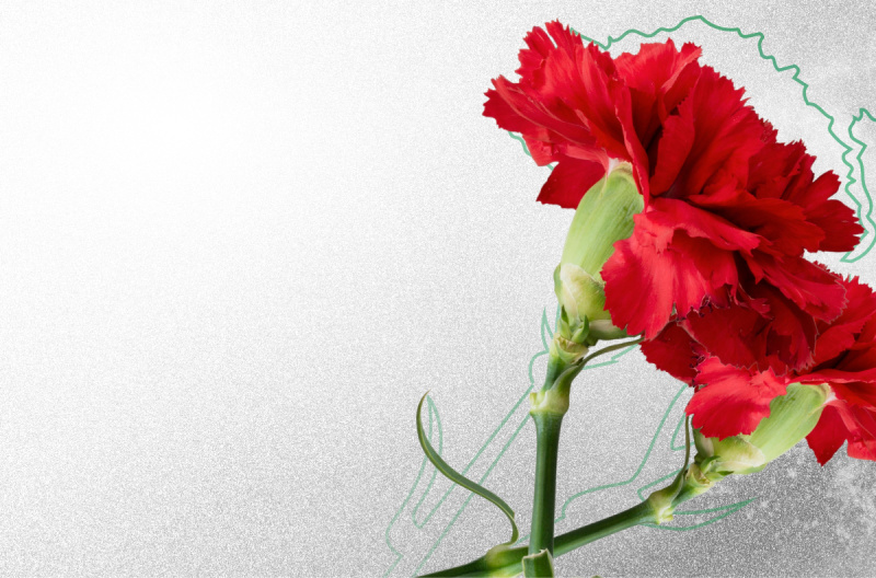 Как выбрать место для установки памятника: советы и рекомендации